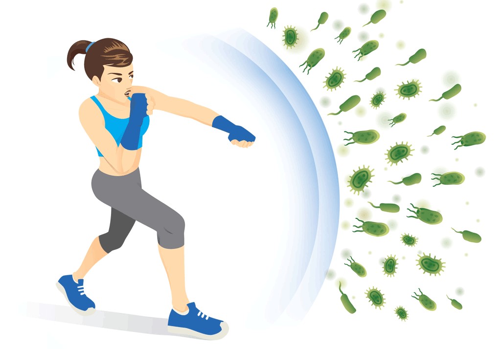 Можно ли похудеть без тренировок: как сбросить вес без спорта. Спорт-Экспресс